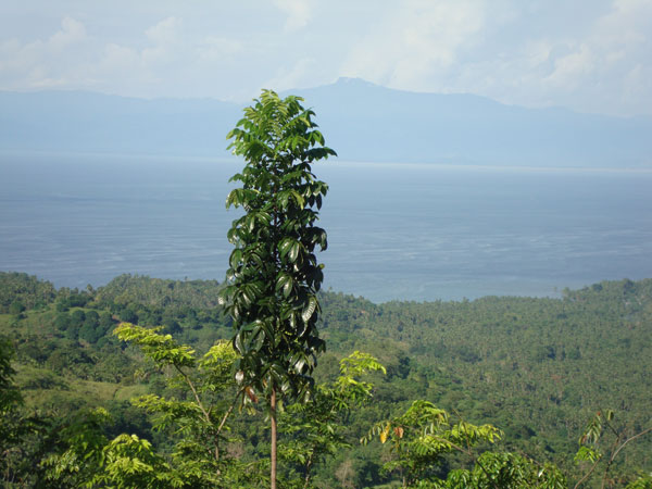 marcos park, carmen, agusan del norte