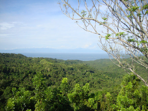 marcos park, carmen, agusan del norte